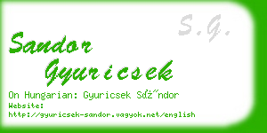 sandor gyuricsek business card